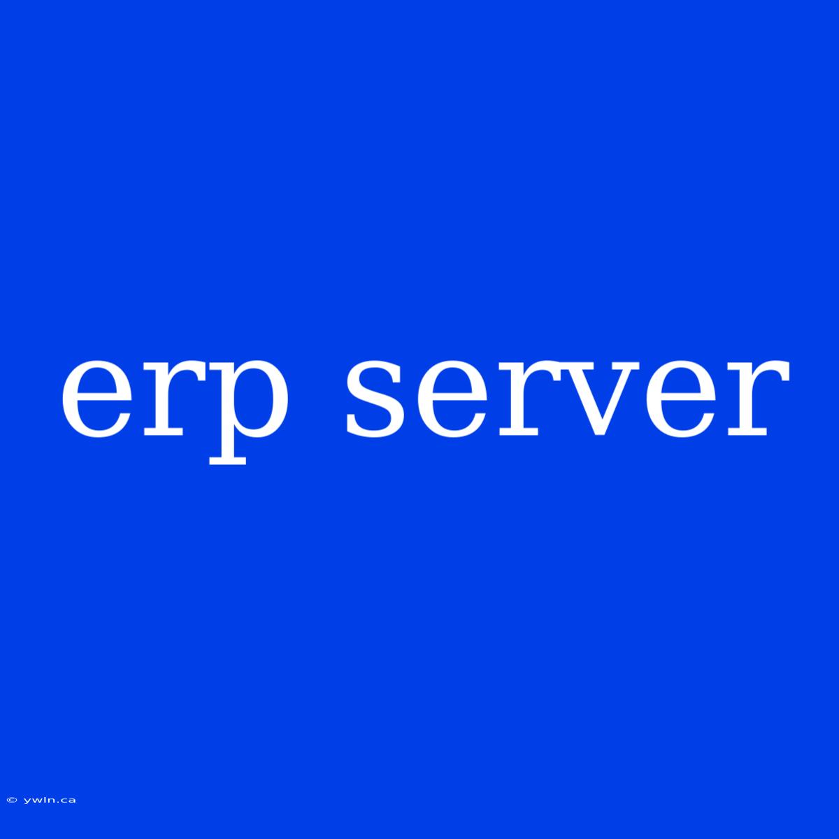 Erp Server