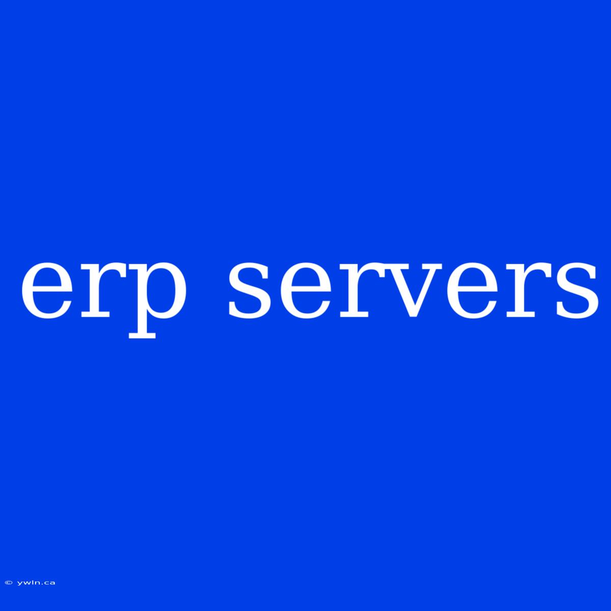 Erp Servers