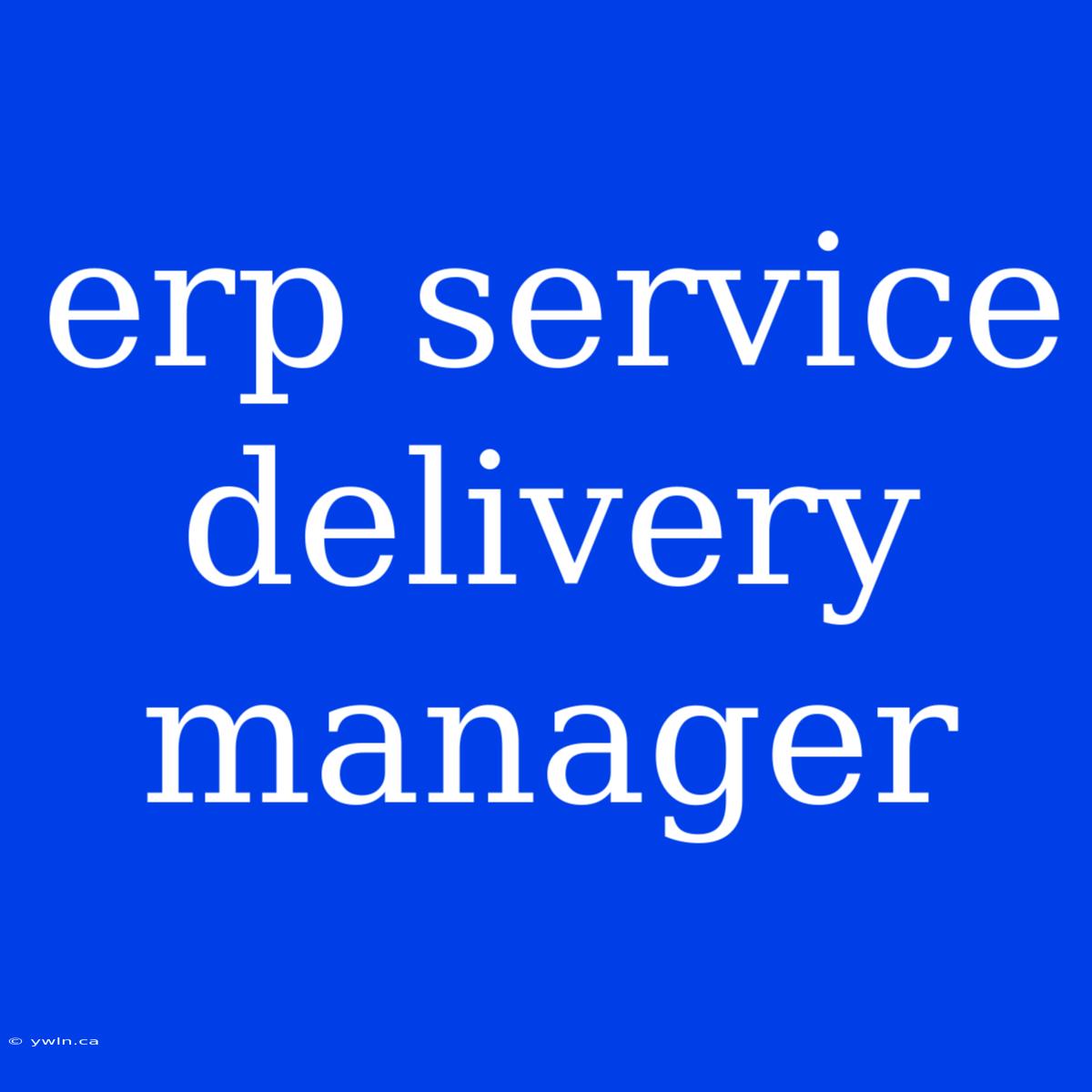 Erp Service Delivery Manager