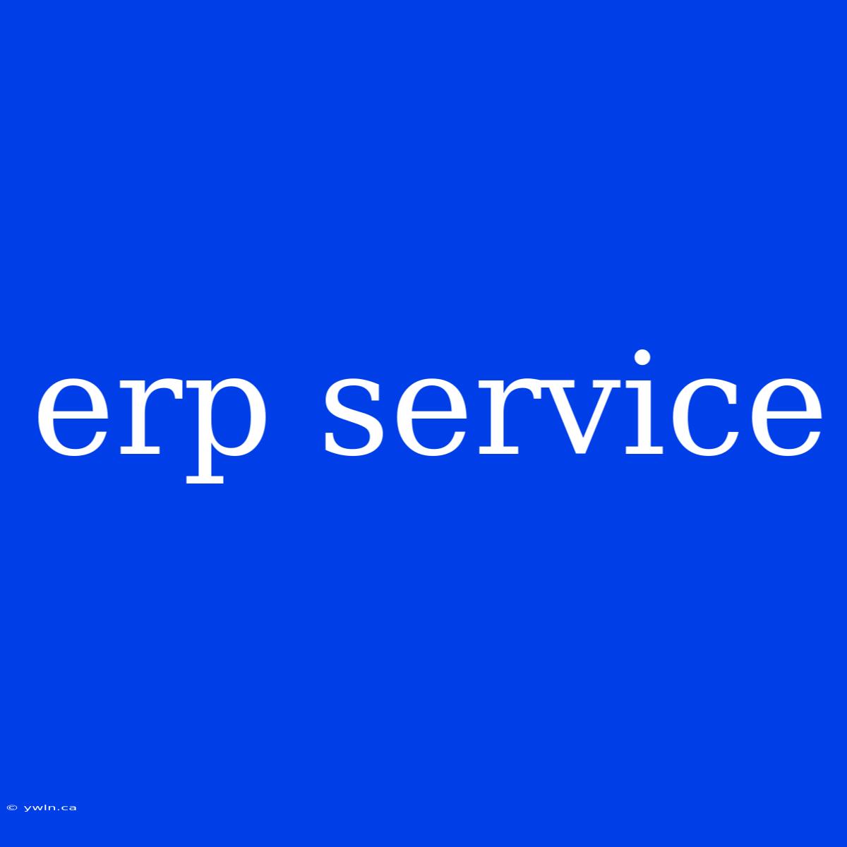 Erp Service