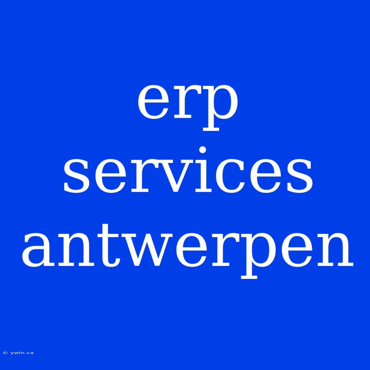 Erp Services Antwerpen