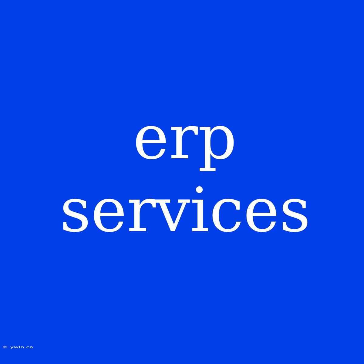 Erp Services