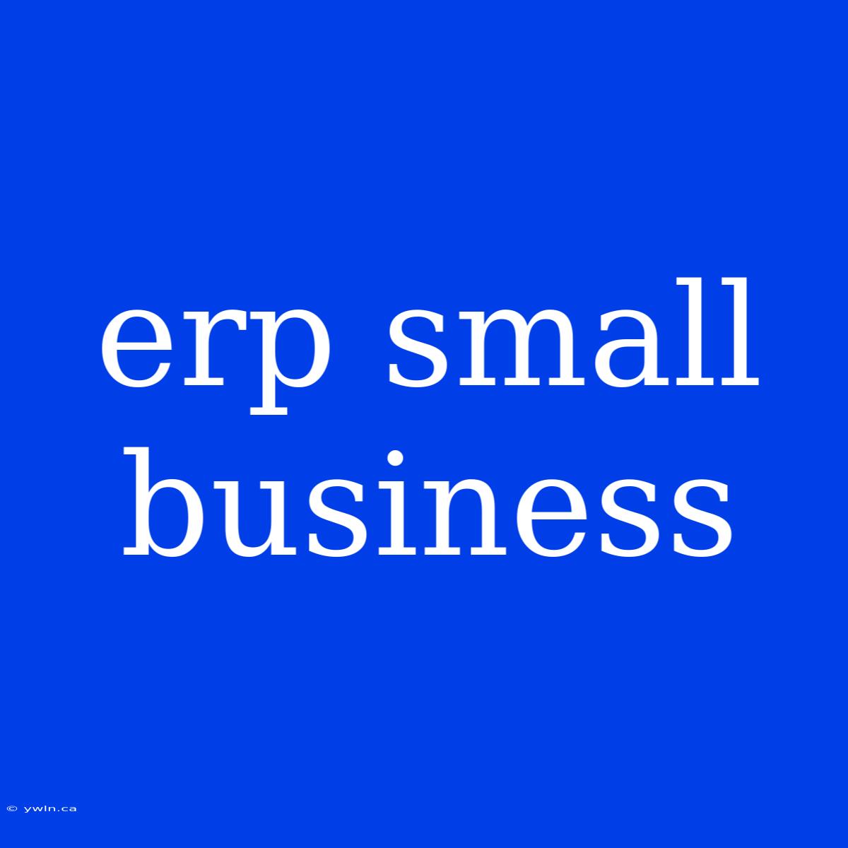 Erp Small Business