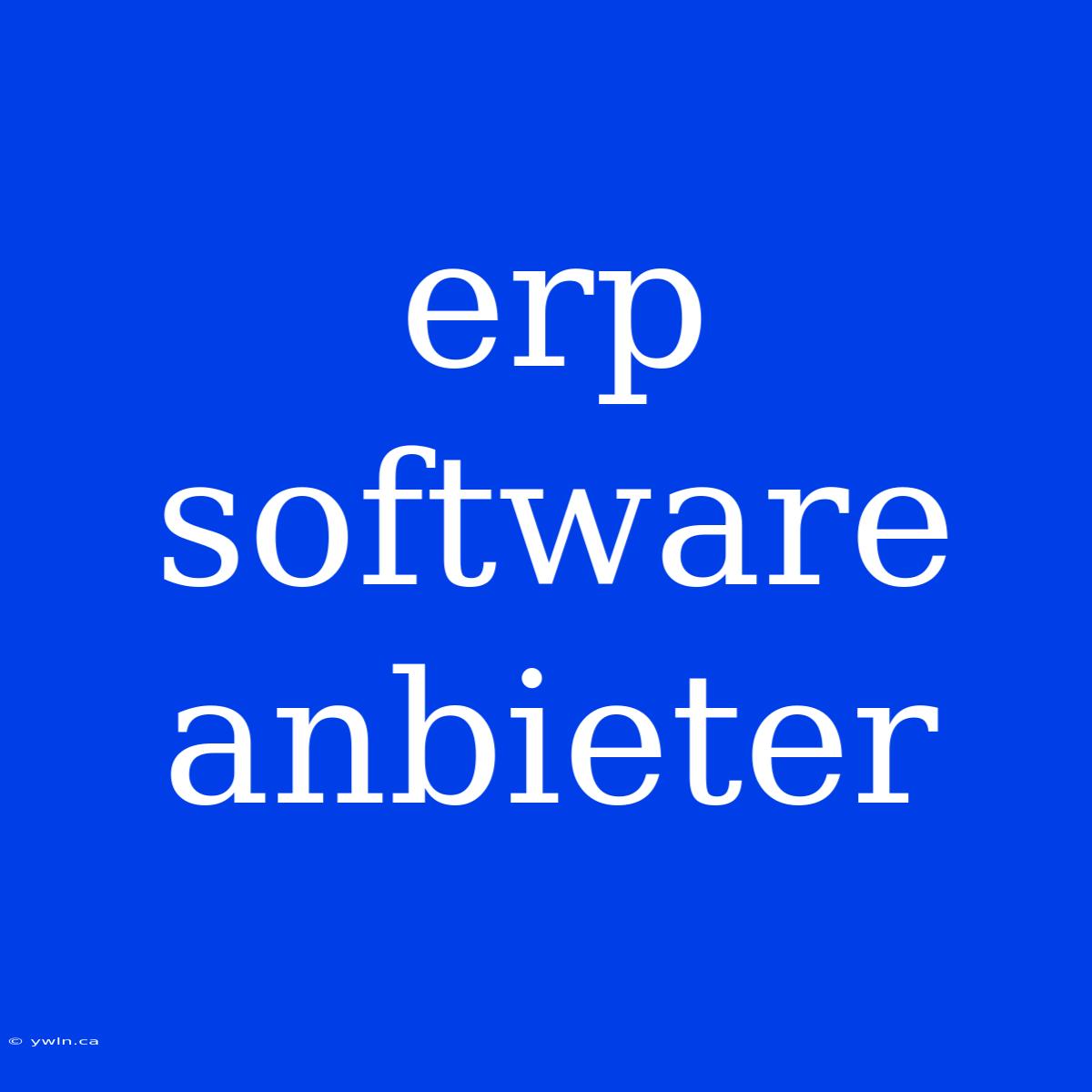 Erp Software Anbieter