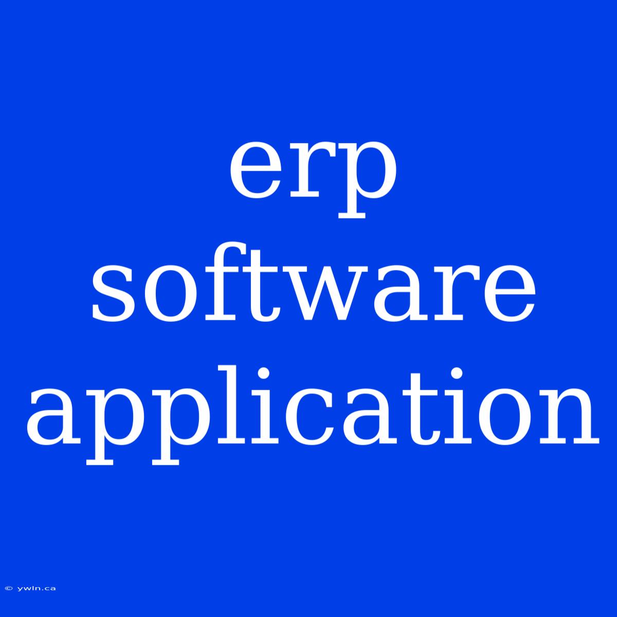 Erp Software Application