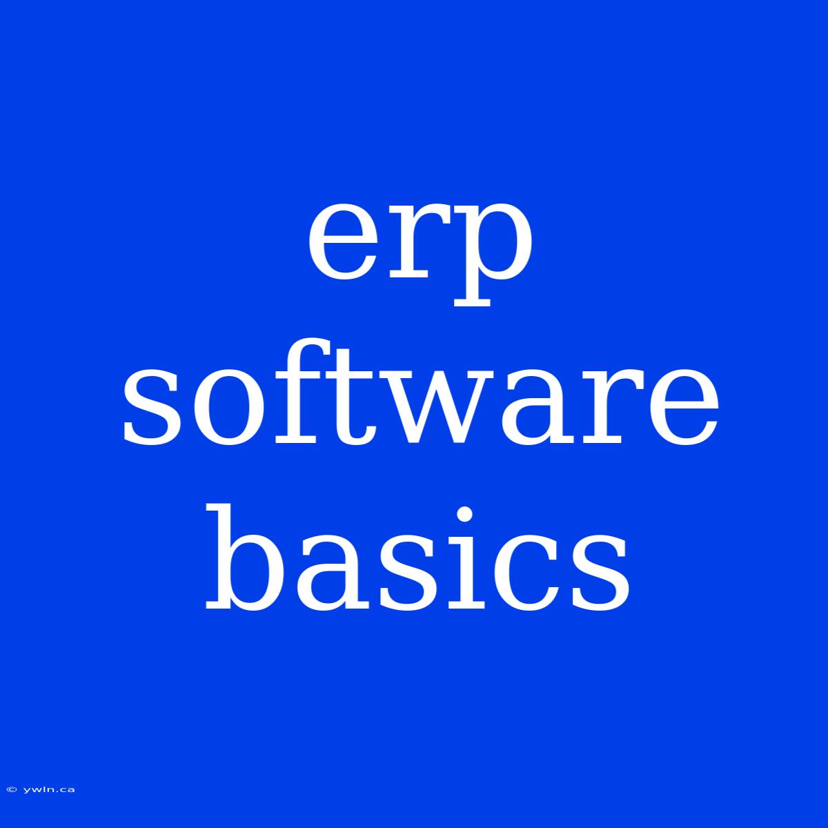 Erp Software Basics