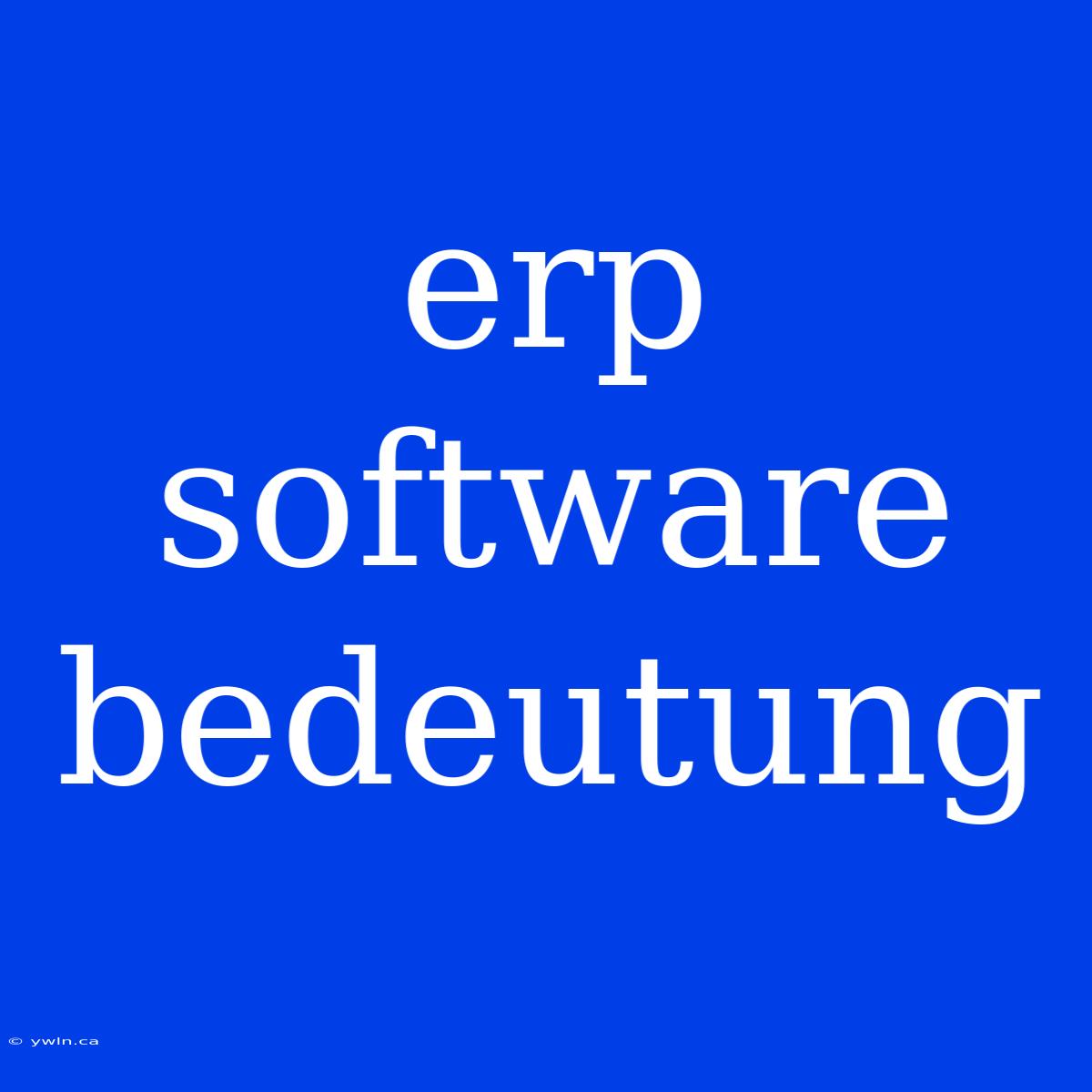 Erp Software Bedeutung