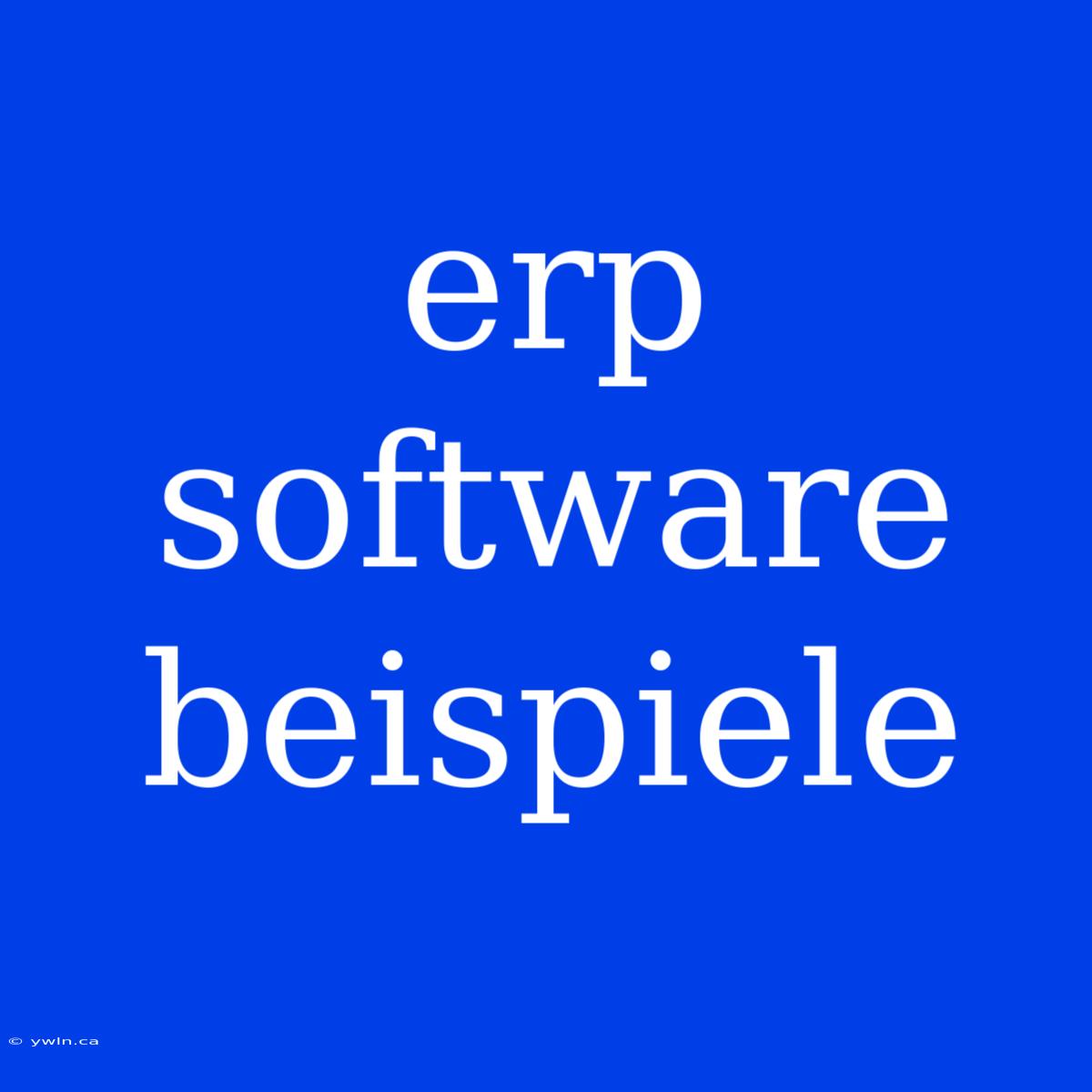 Erp Software Beispiele