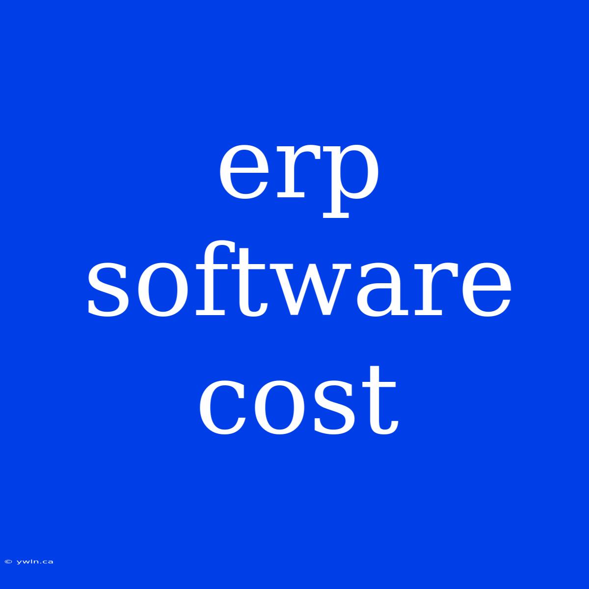 Erp Software Cost