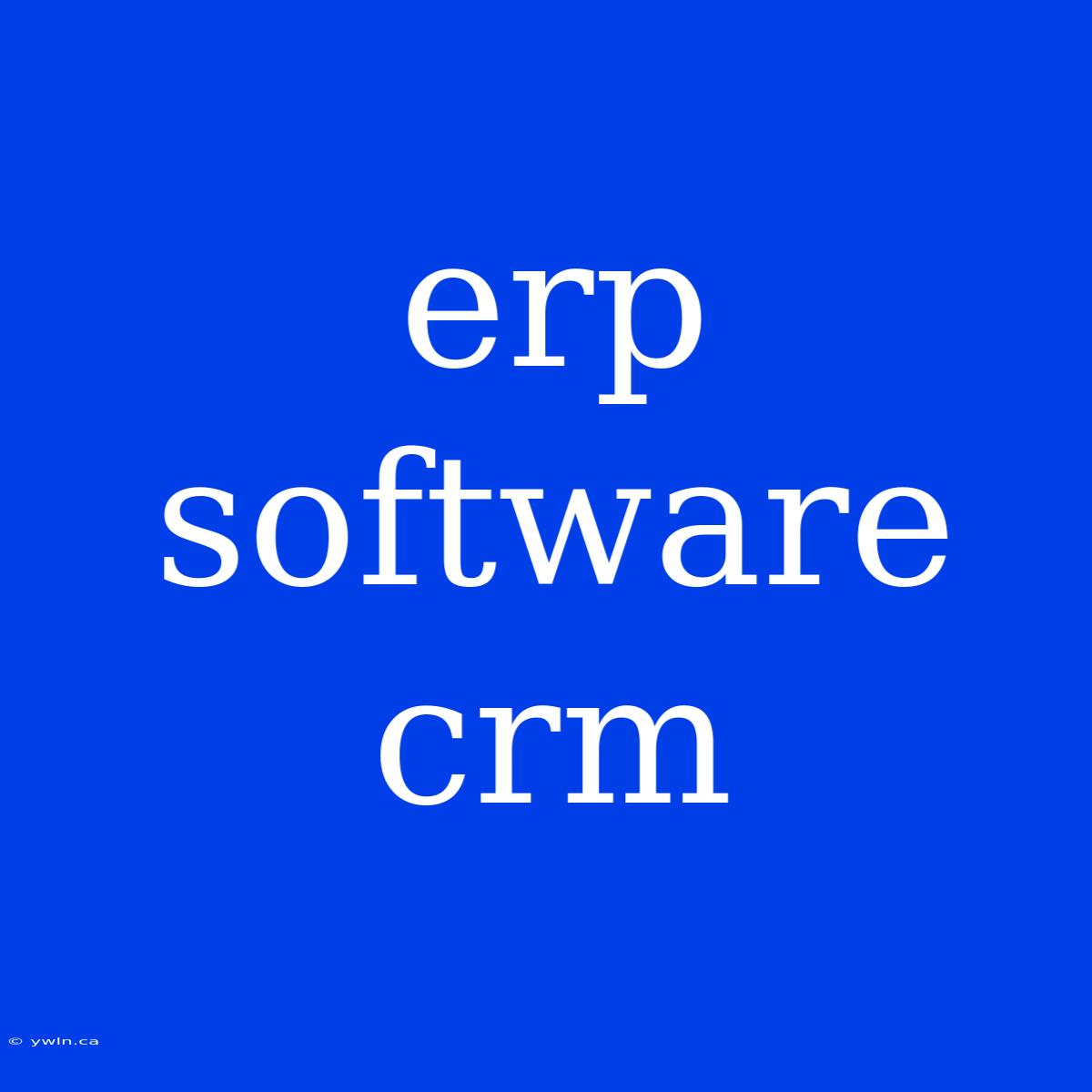 Erp Software Crm