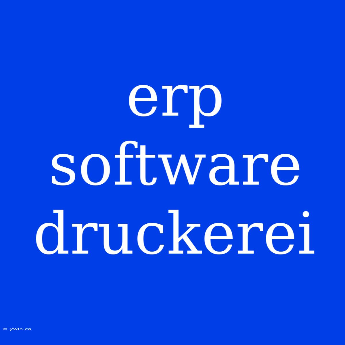 Erp Software Druckerei