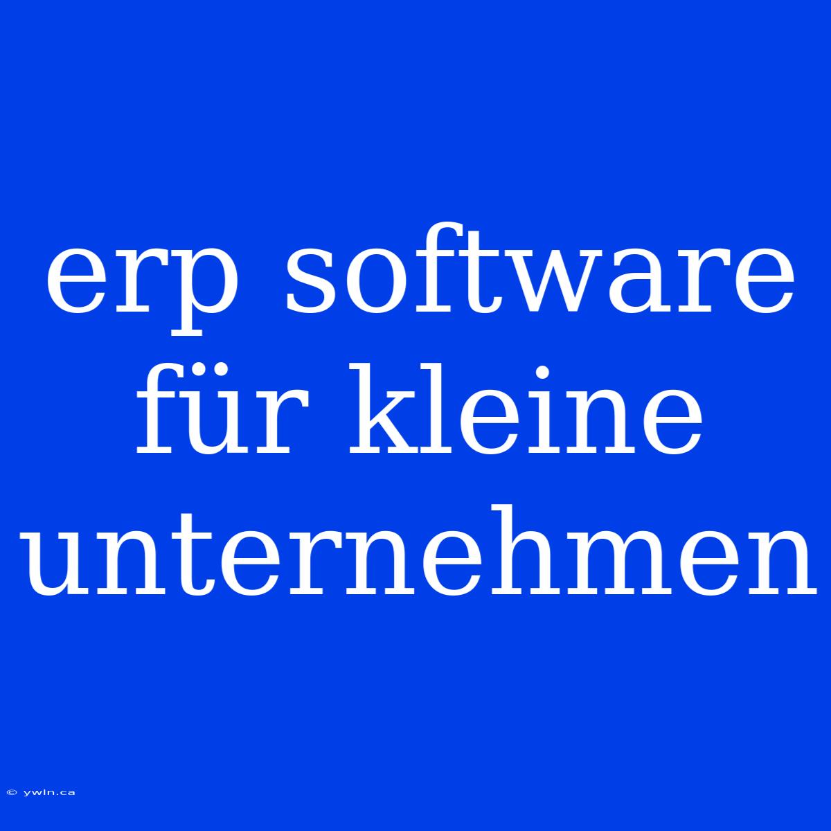 Erp Software Für Kleine Unternehmen