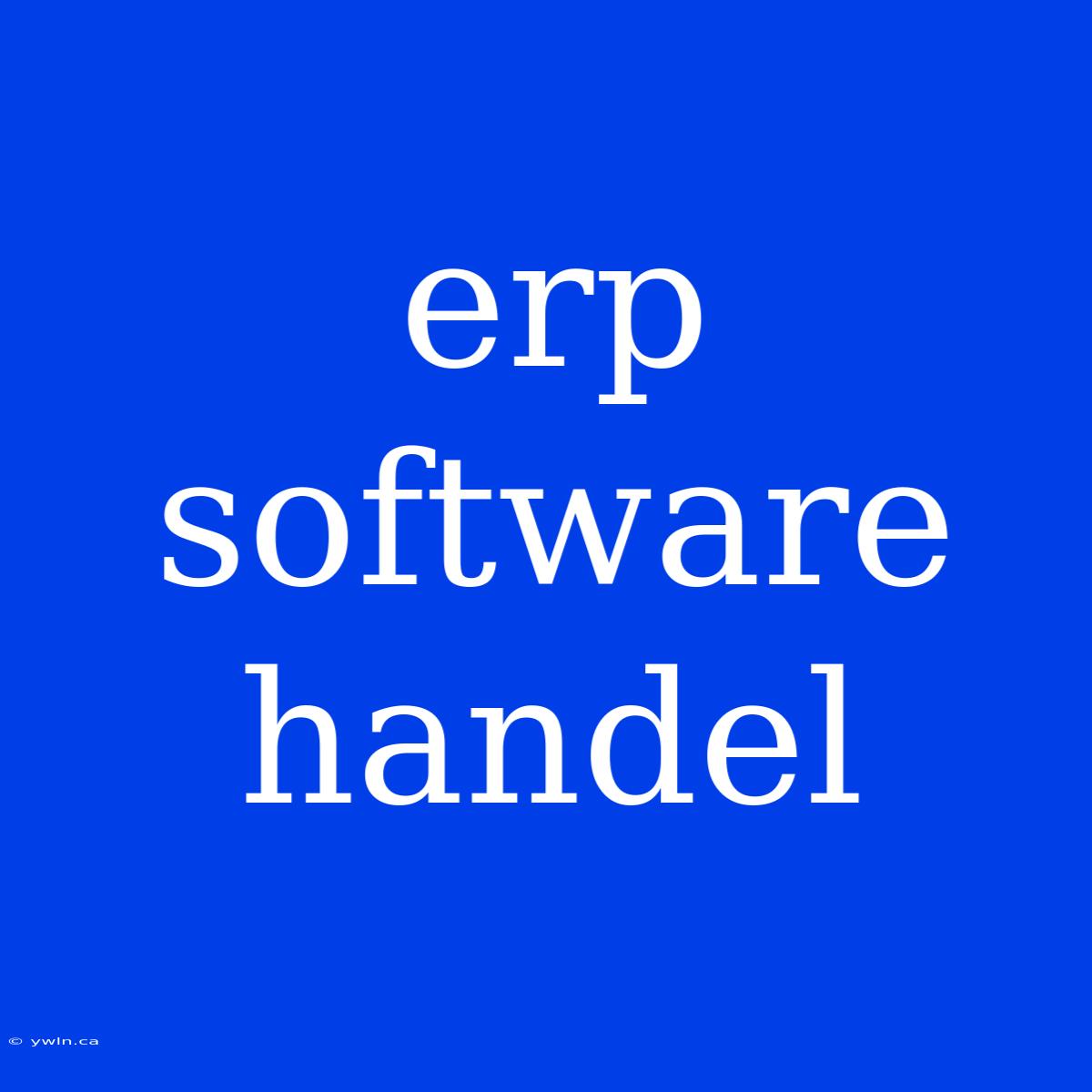 Erp Software Handel