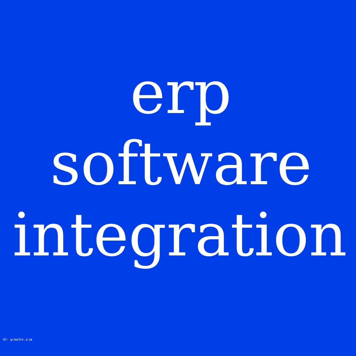 Erp Software Integration