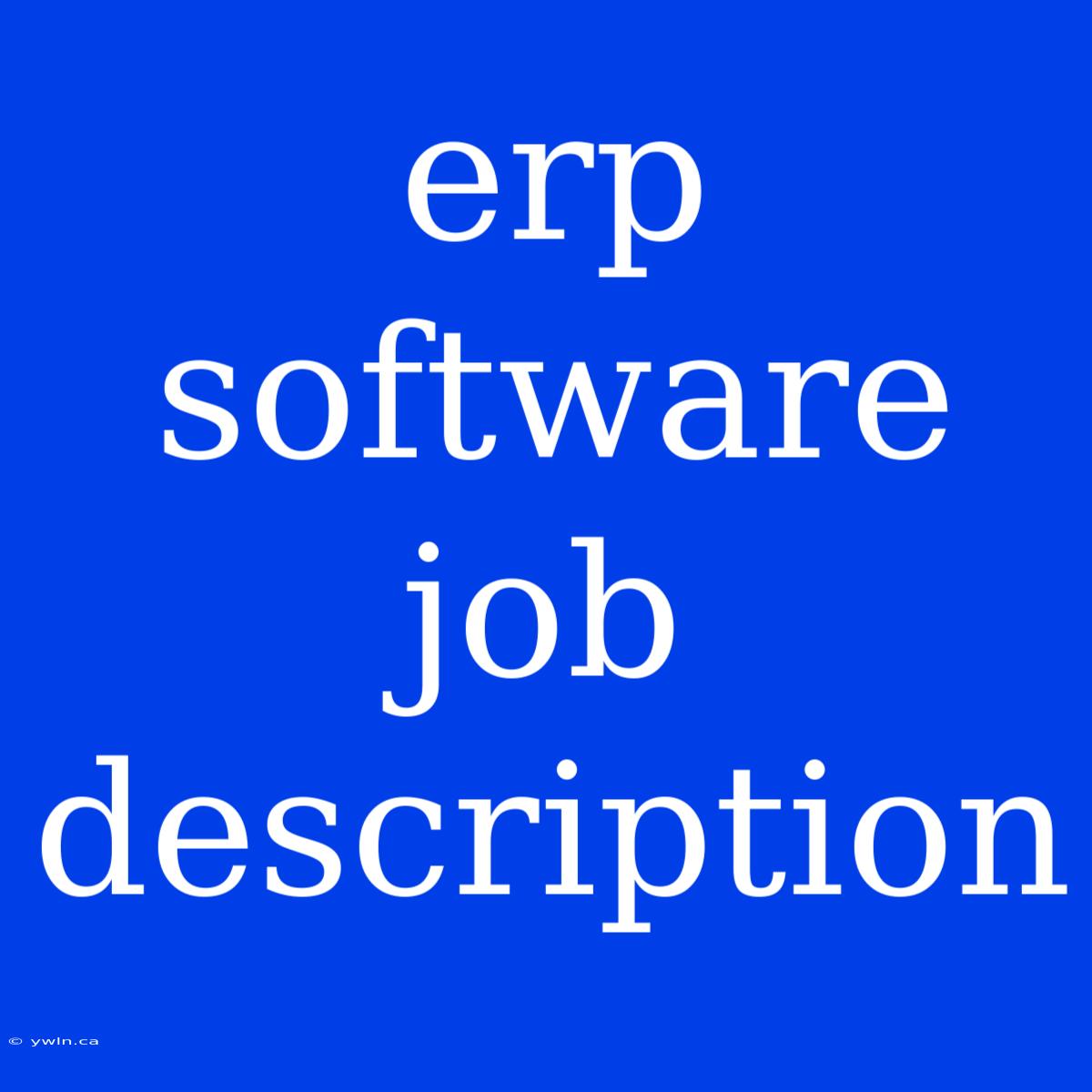 Erp Software Job Description