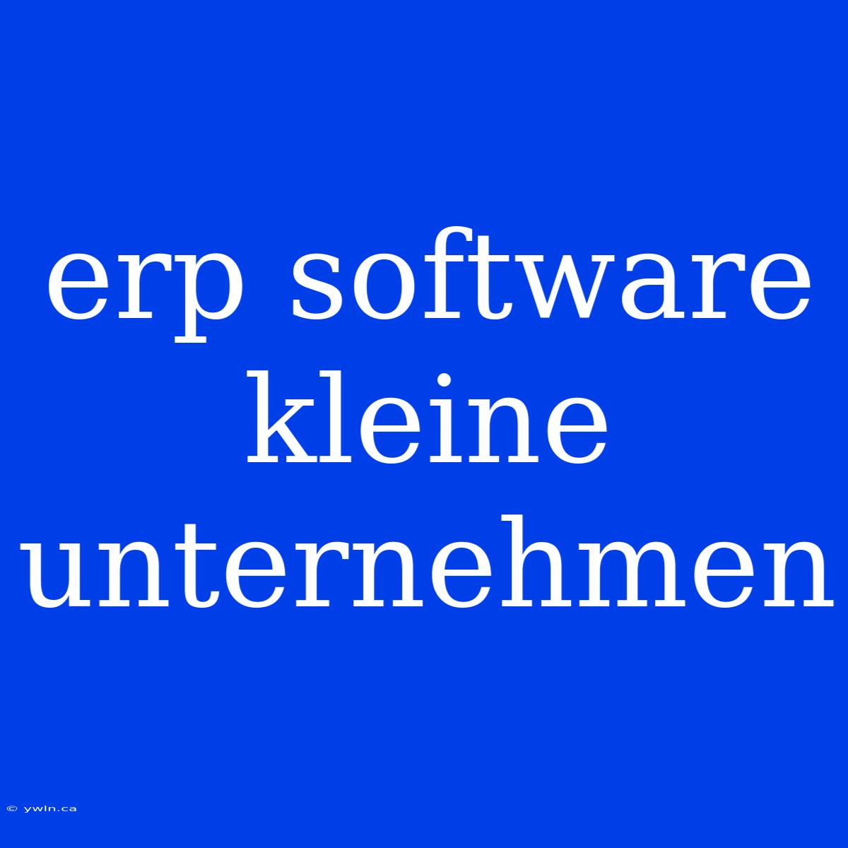 Erp Software Kleine Unternehmen