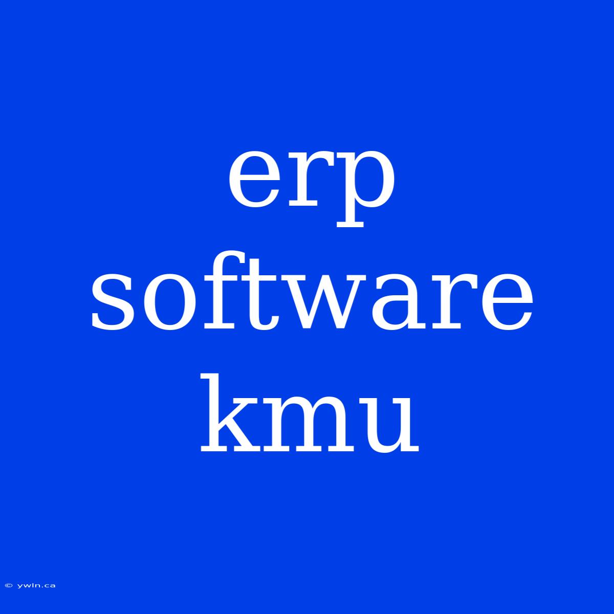 Erp Software Kmu