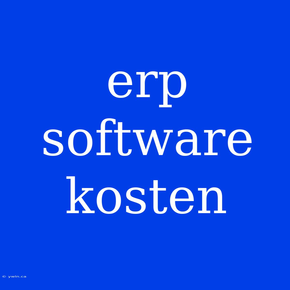 Erp Software Kosten