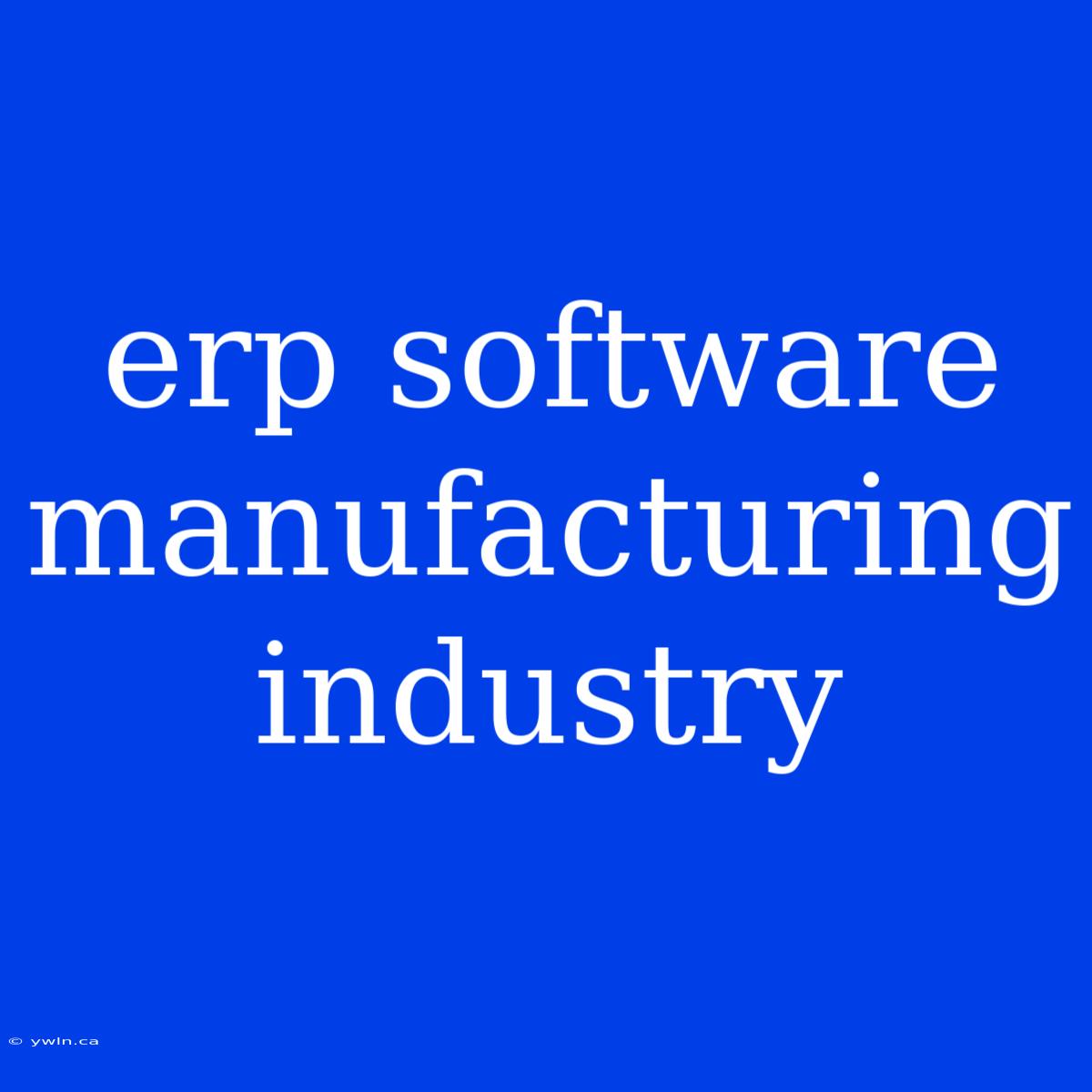 Erp Software Manufacturing Industry