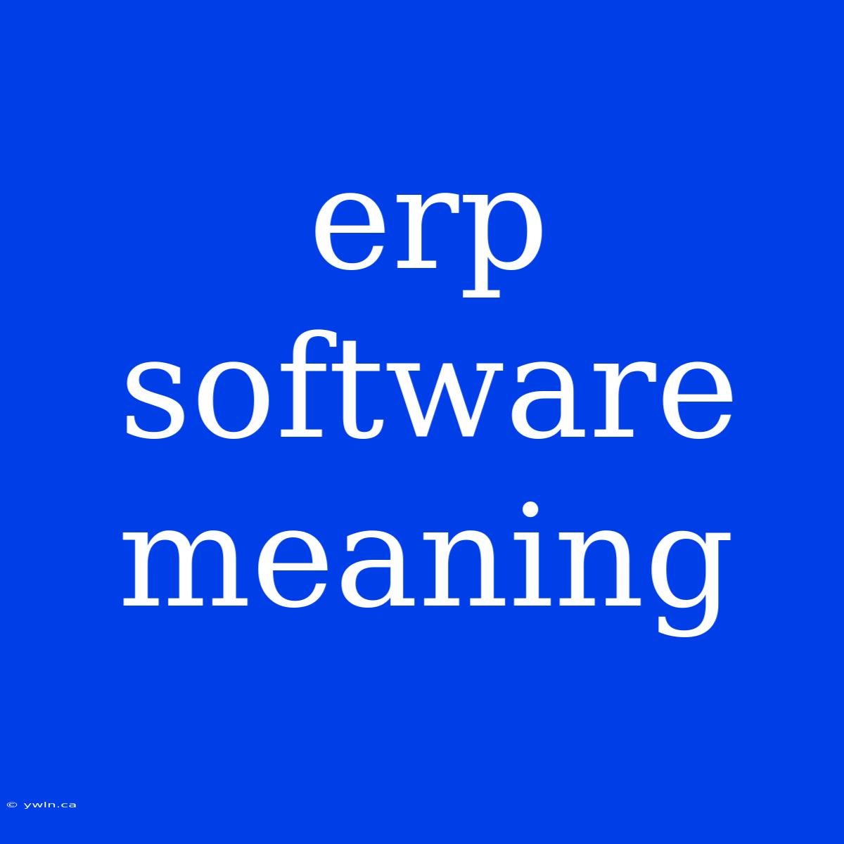 Erp Software Meaning