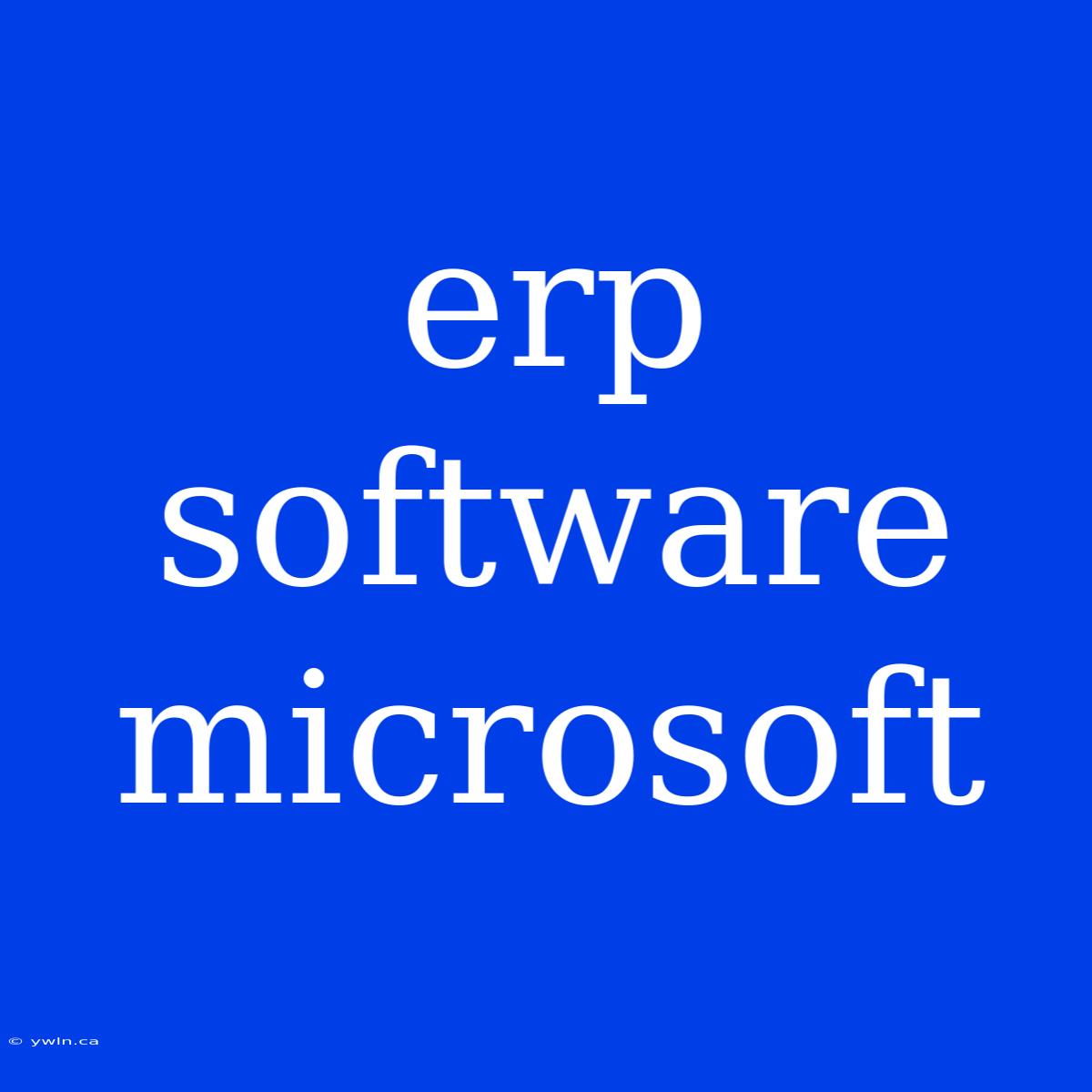 Erp Software Microsoft