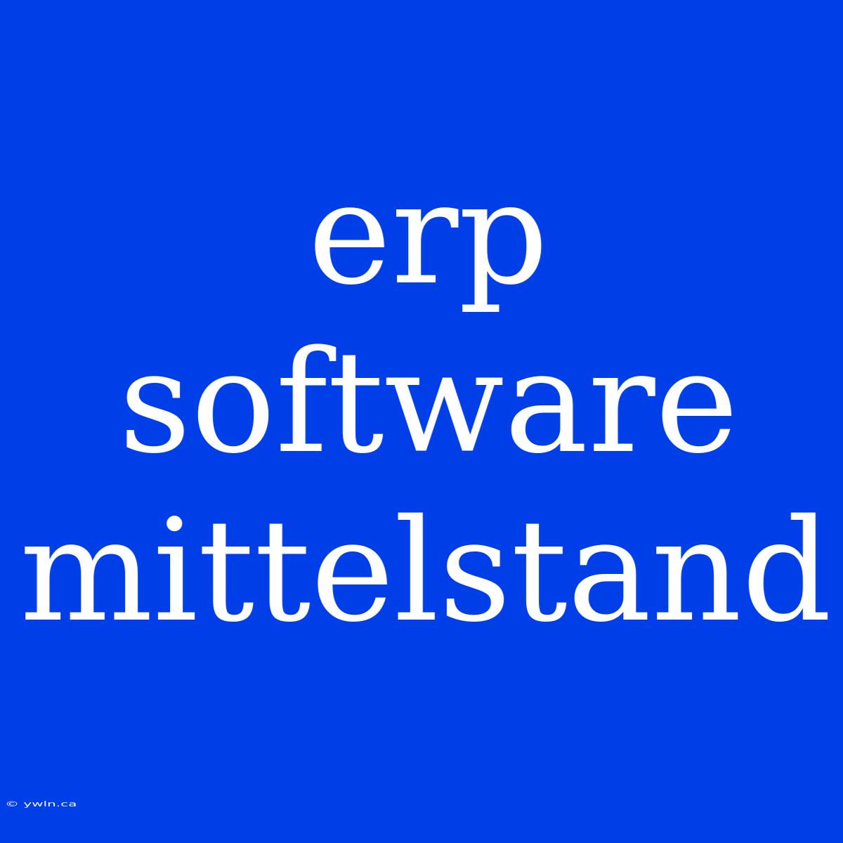 Erp Software Mittelstand