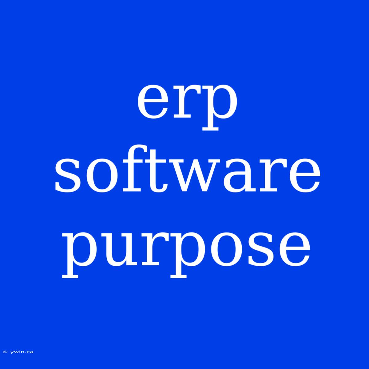 Erp Software Purpose