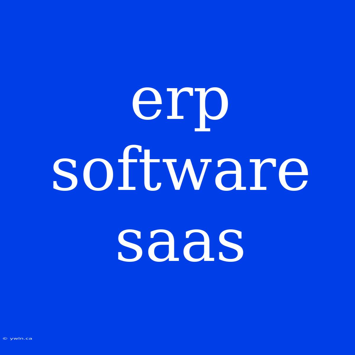 Erp Software Saas