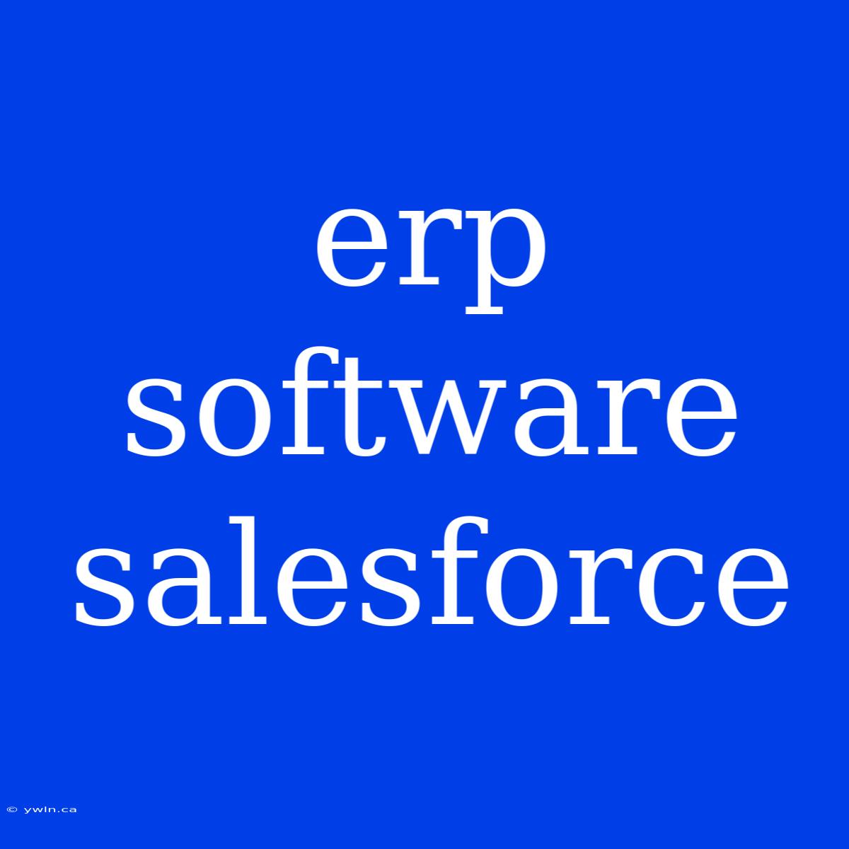 Erp Software Salesforce