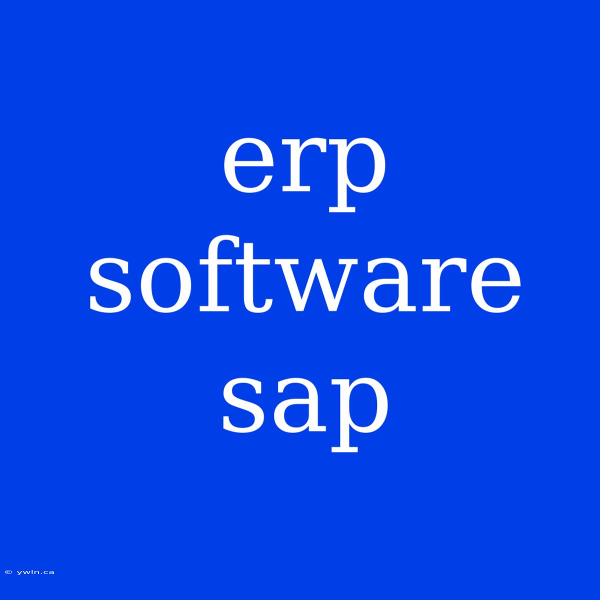 Erp Software Sap