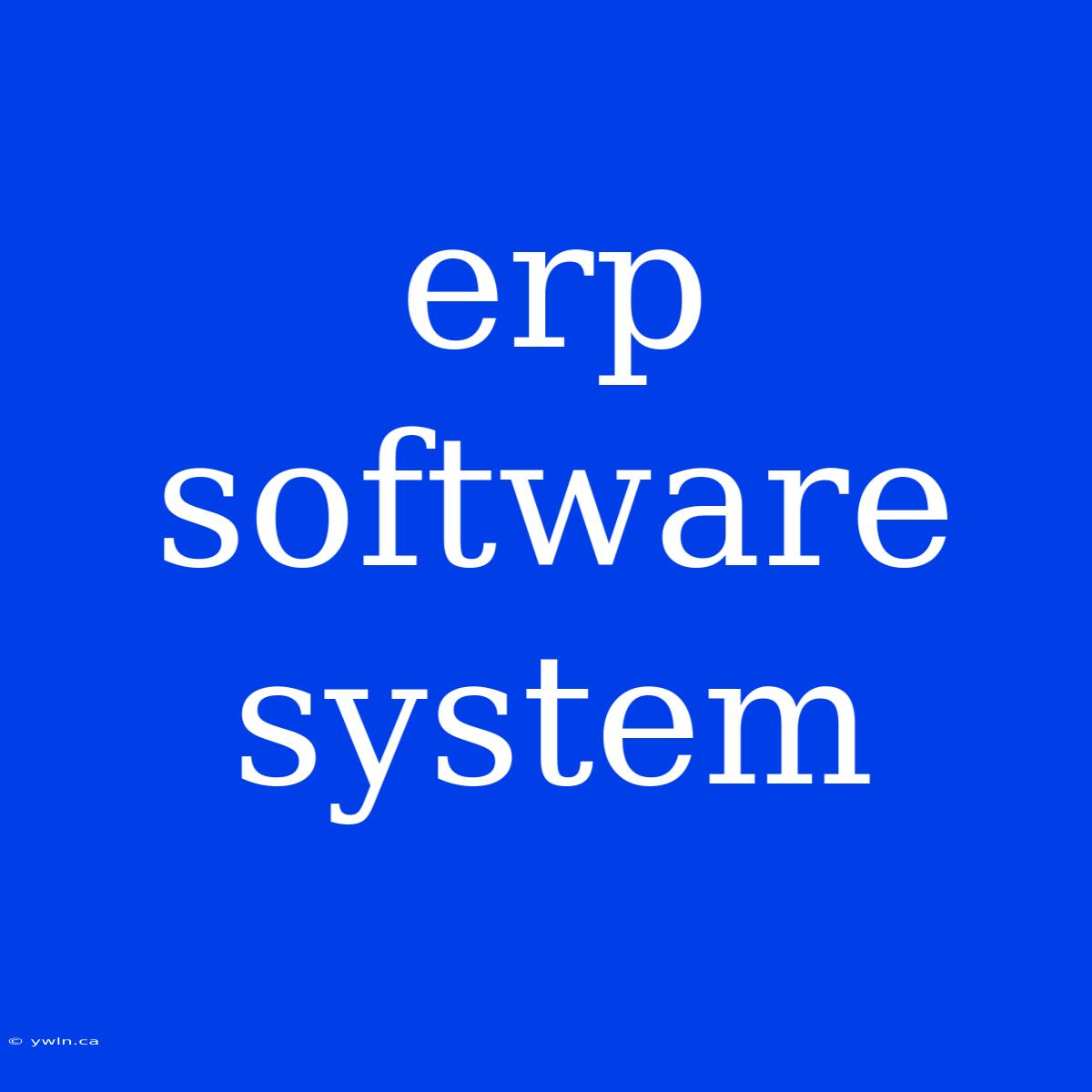 Erp Software System