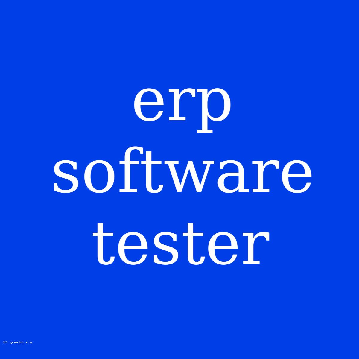 Erp Software Tester