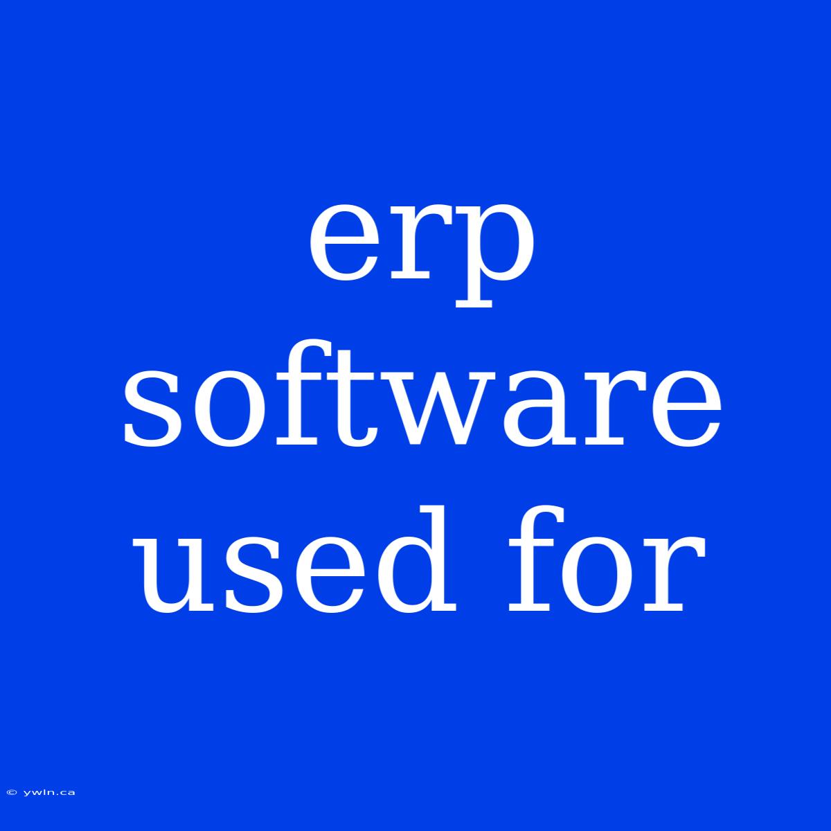 Erp Software Used For