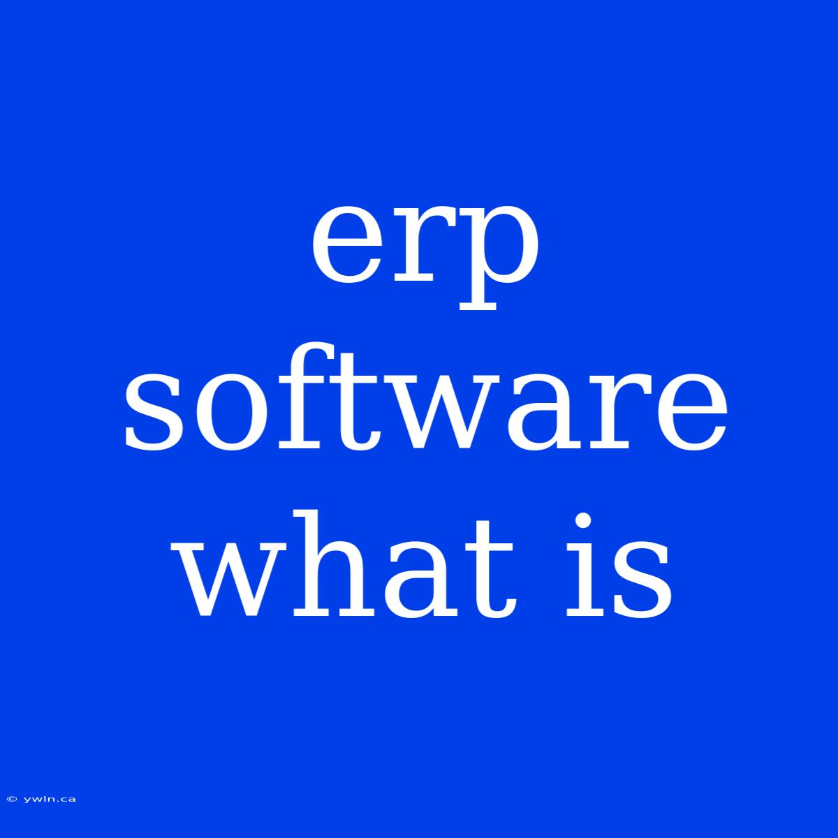 Erp Software What Is