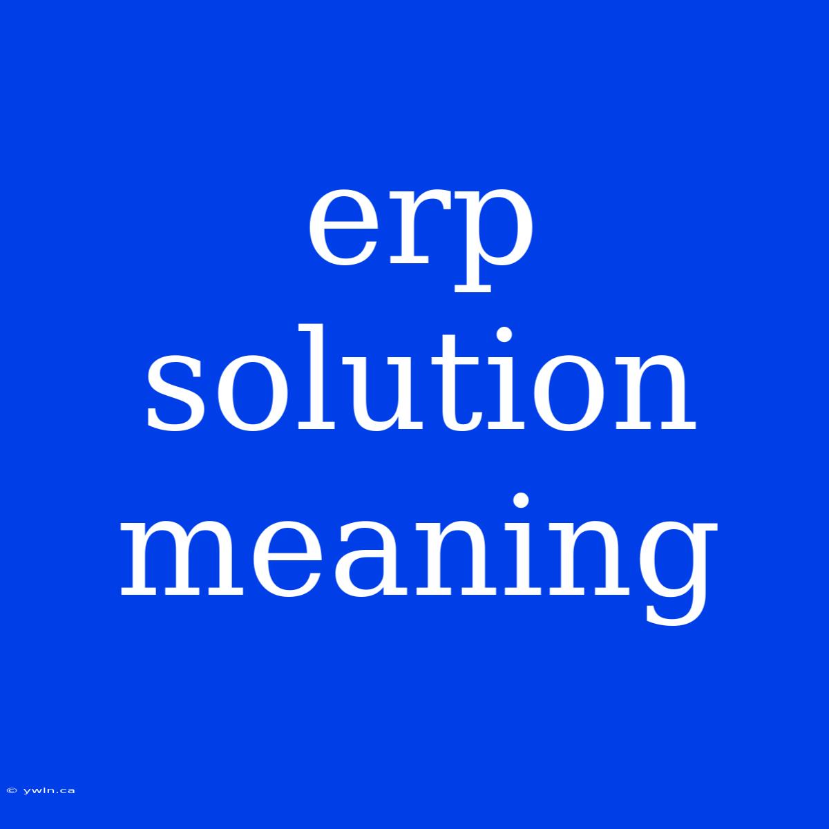 Erp Solution Meaning