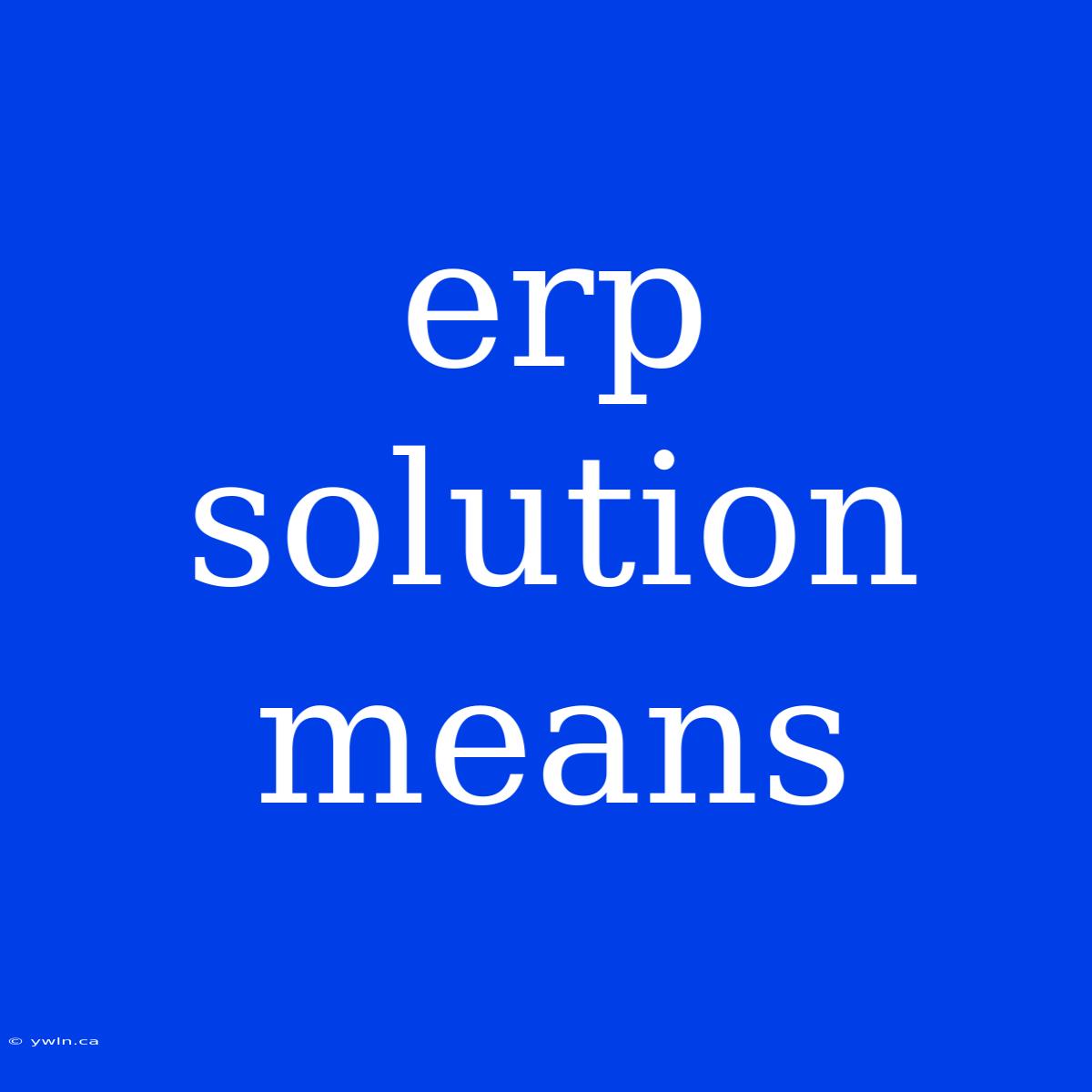 Erp Solution Means