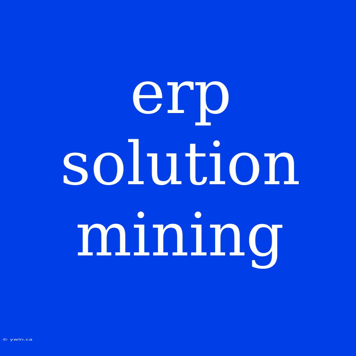 Erp Solution Mining