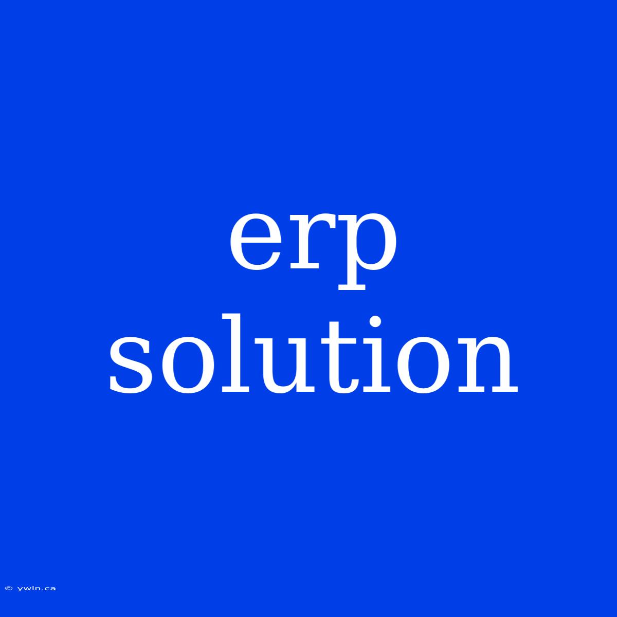 Erp Solution