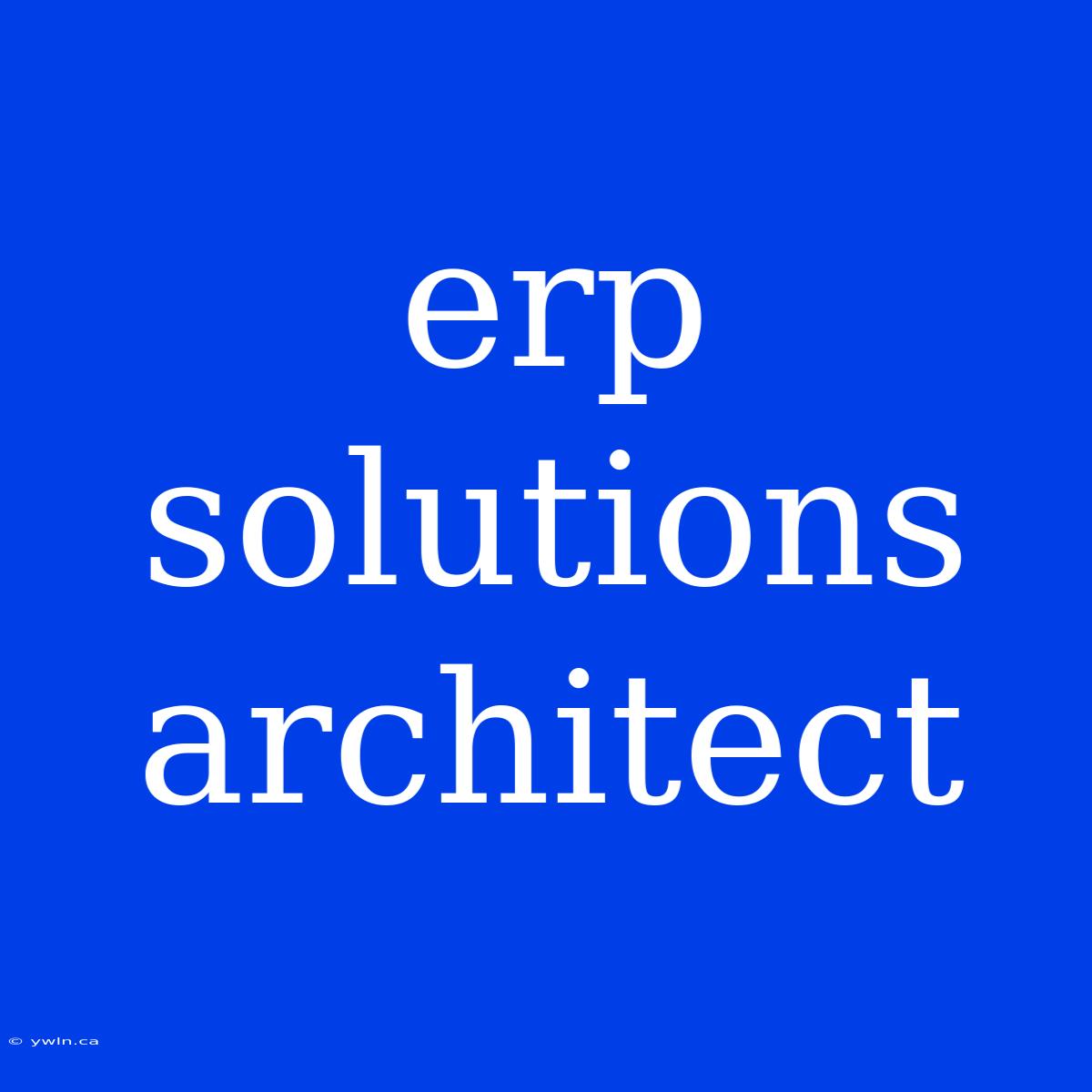 Erp Solutions Architect