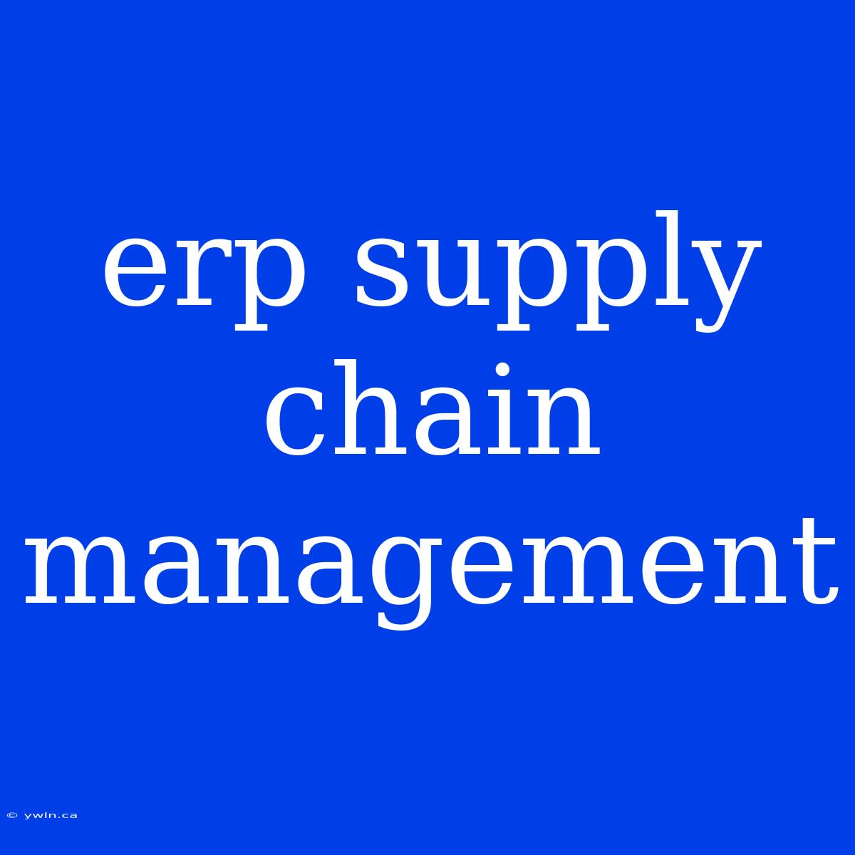 Erp Supply Chain Management