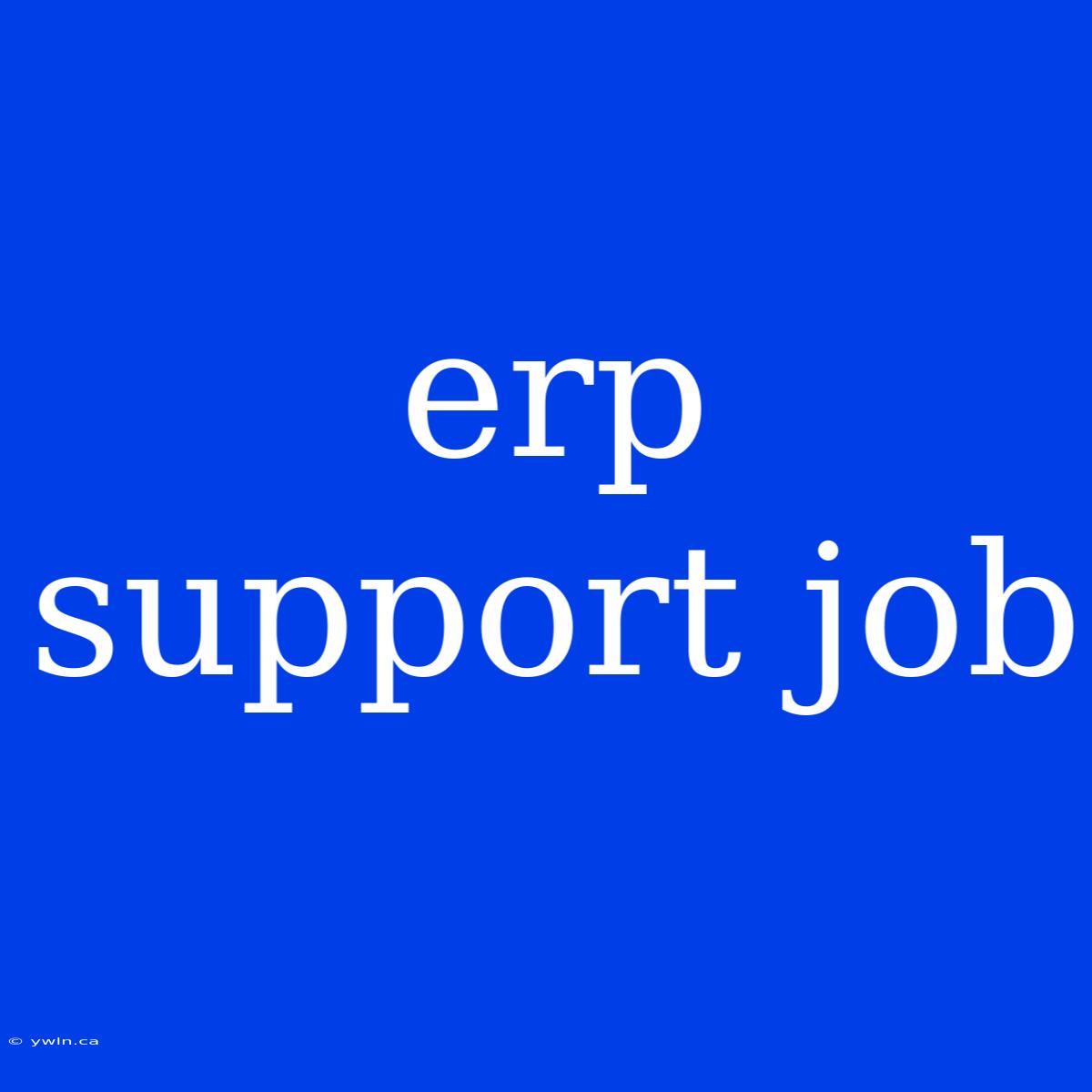 Erp Support Job