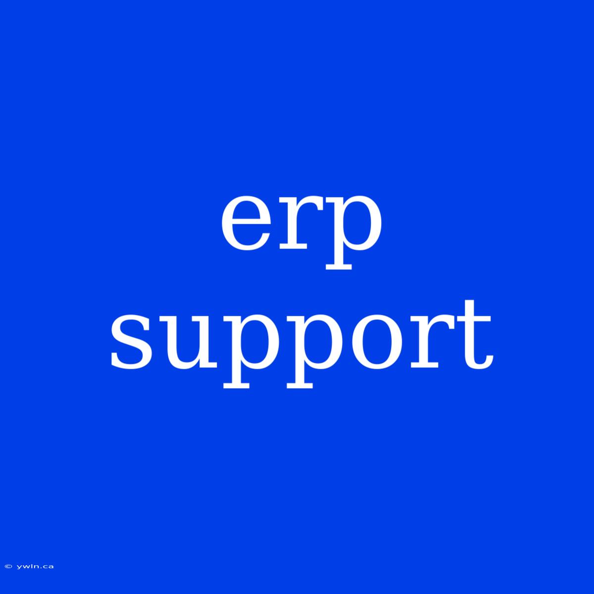 Erp Support