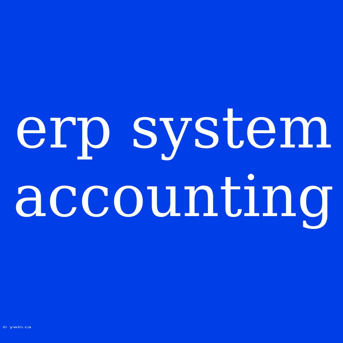 Erp System Accounting