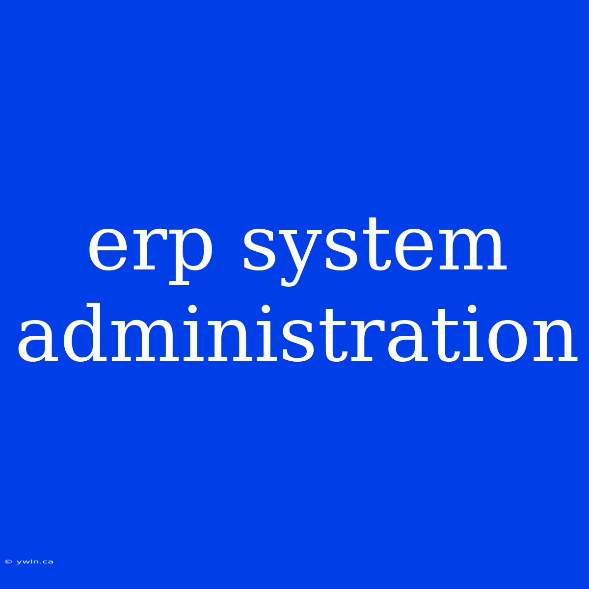 Erp System Administration