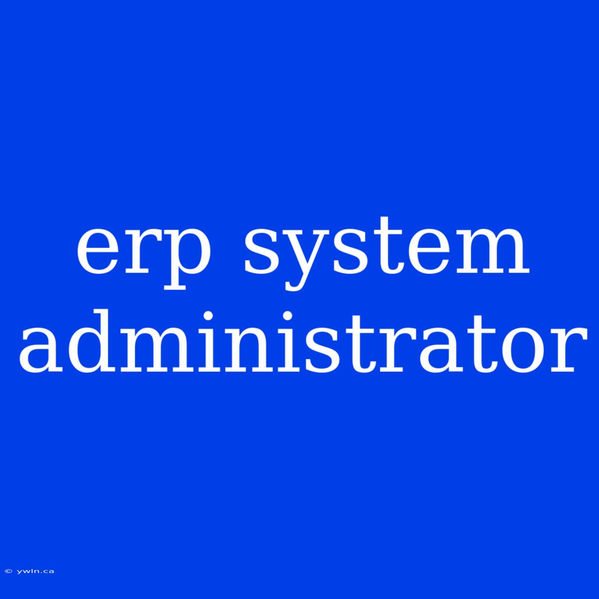 Erp System Administrator