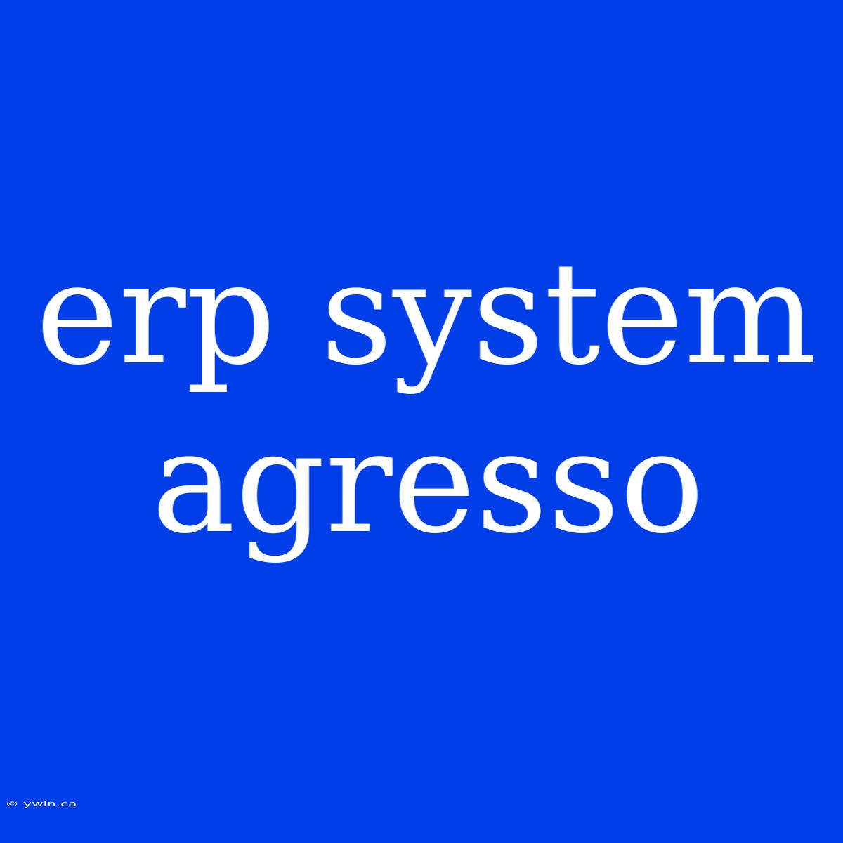 Erp System Agresso