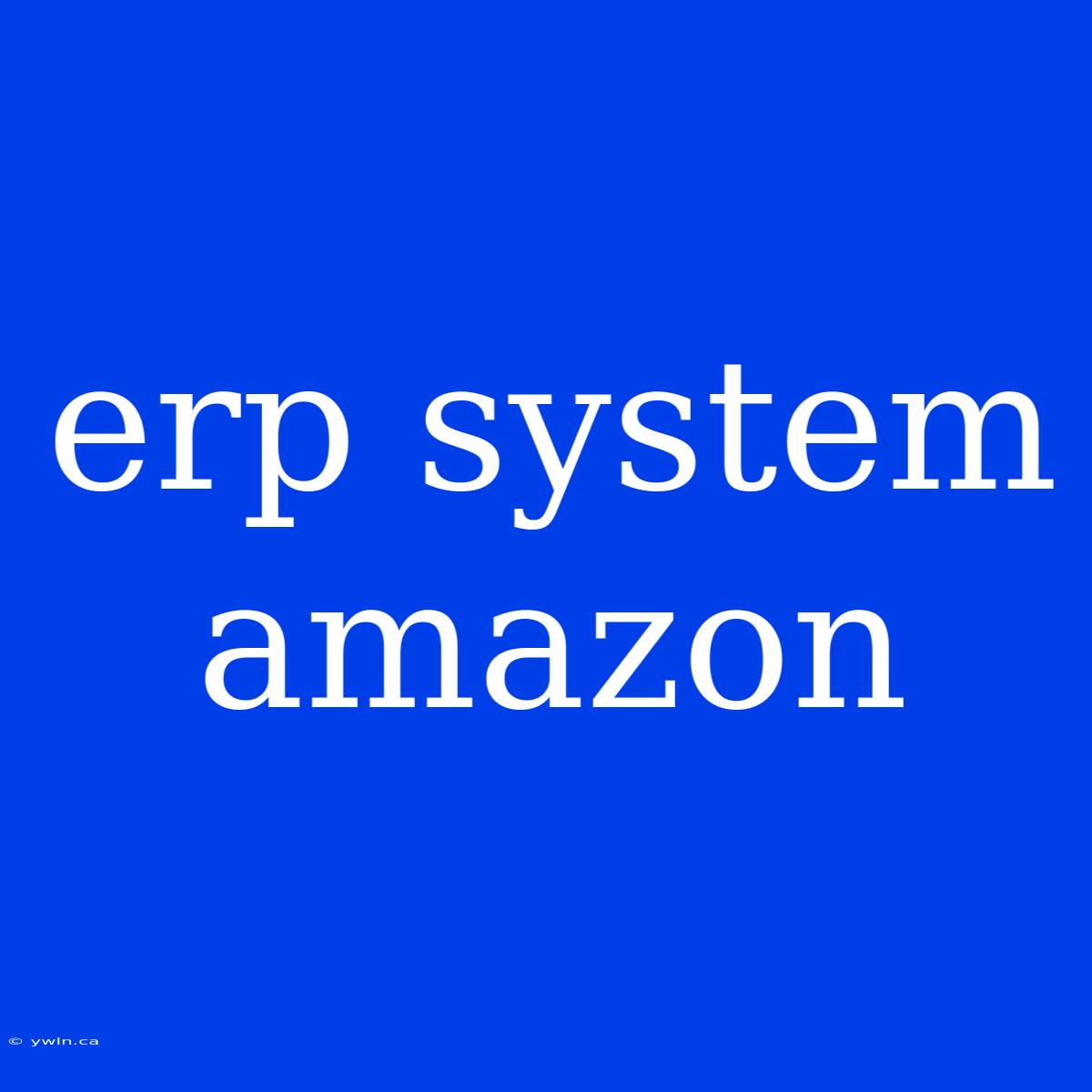 Erp System Amazon