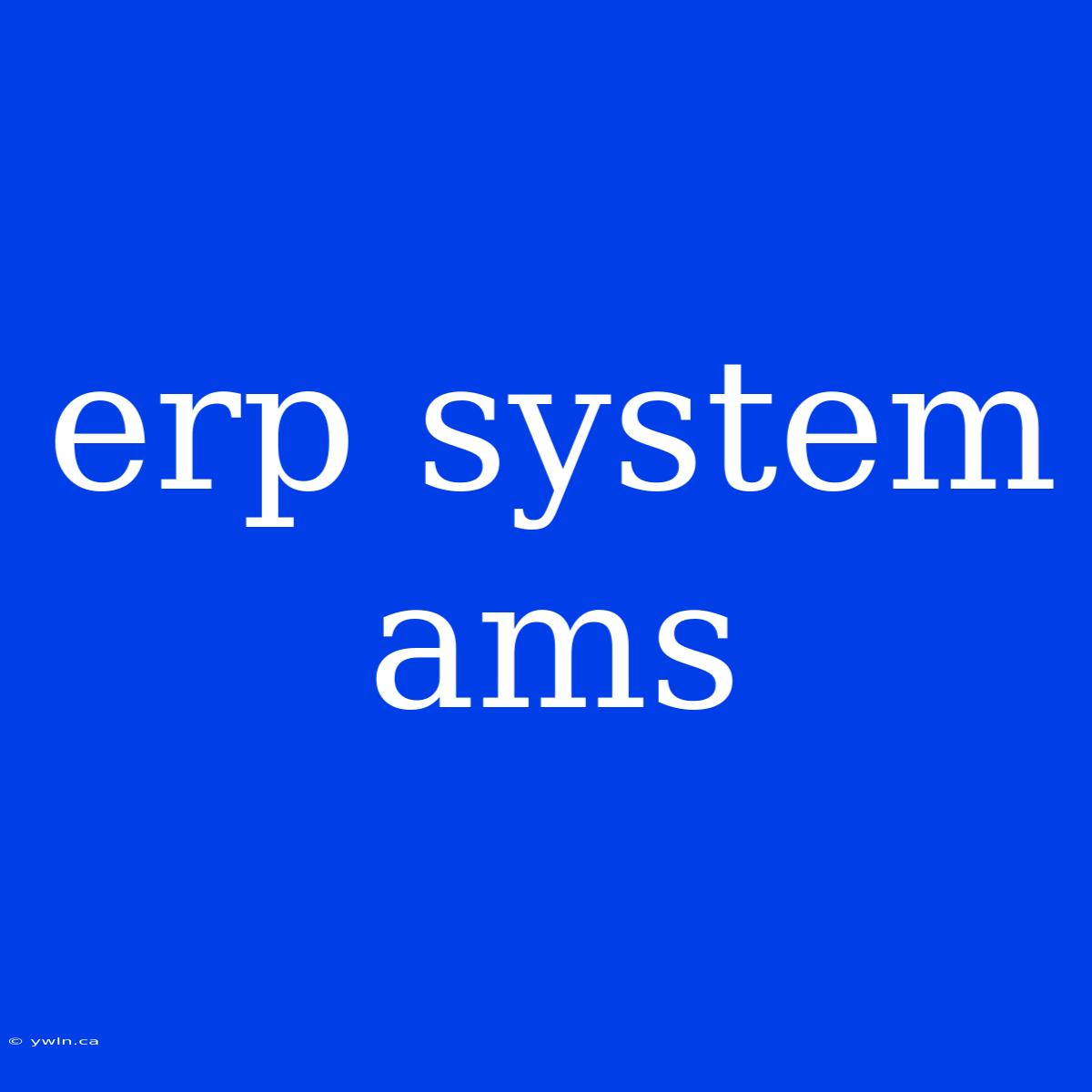 Erp System Ams