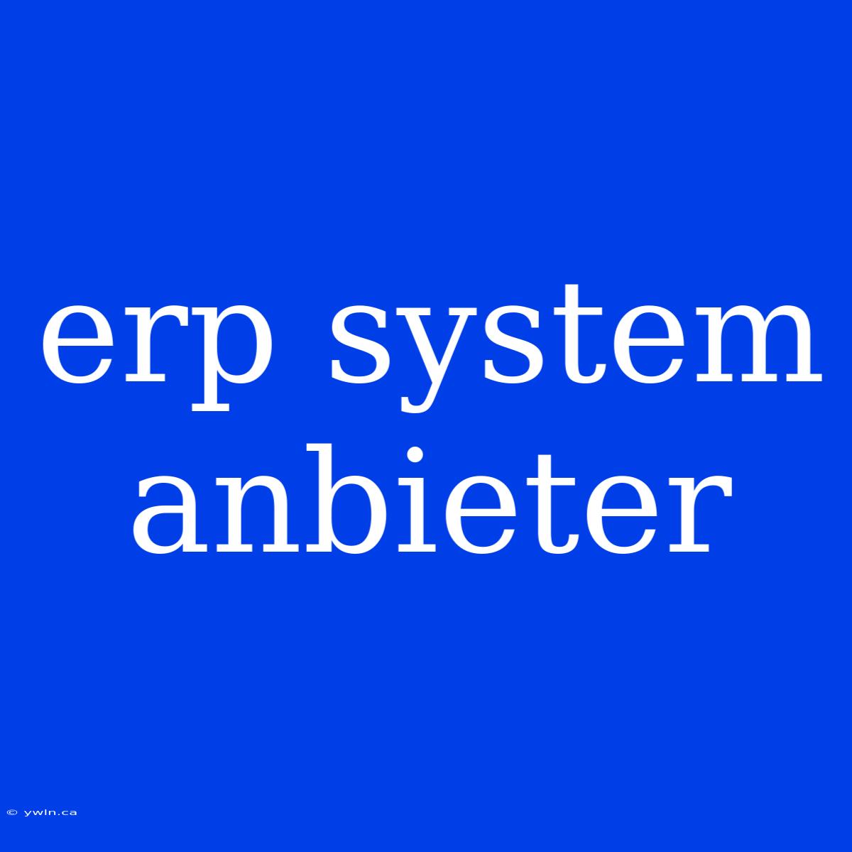 Erp System Anbieter