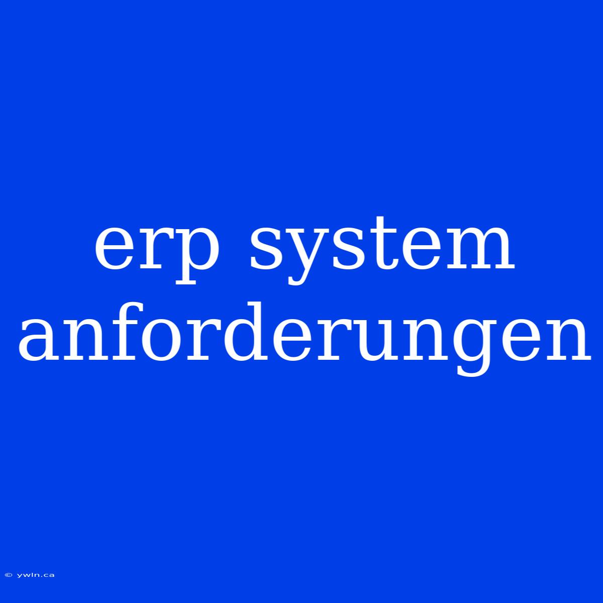 Erp System Anforderungen